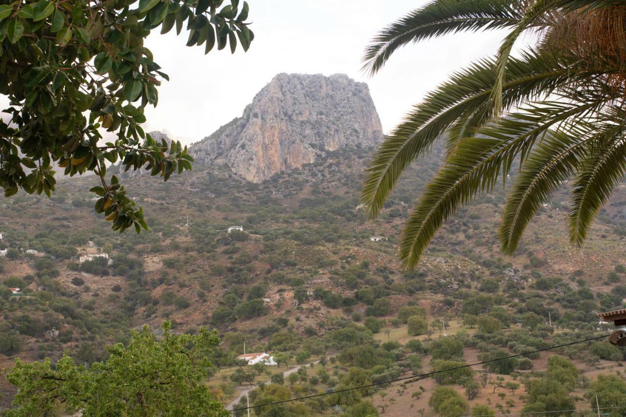 Lagar Del Chorro Junto Caminito Del Rey Piscina Y Baloncesto Apartment Exterior photo